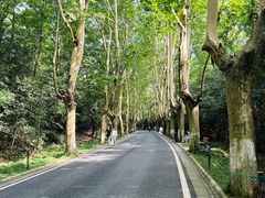 -WeLope紫金山探险公园
