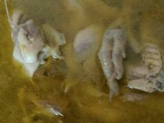 -百味园土菜馆(迎宾东路店)