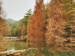 -云溪植物园