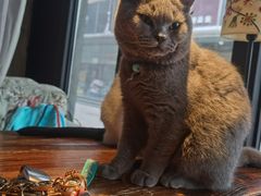 -么么咖啡(燕郊店)