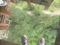 -少华山国家森林公园