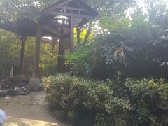 -张家港金凤凰度假村温泉