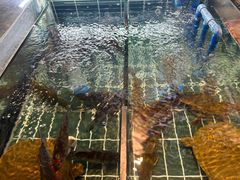 -小山寨(天润城店)