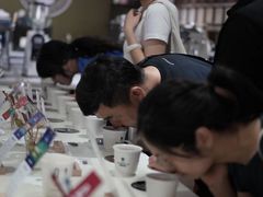 -PCA专业咖啡技能训练营(西南重庆总部)