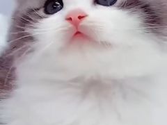 -宠颐生宠物医院·骨外科·犬猫全科诊疗中心(池州店)