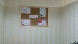 android_upload_pic-银座Calla