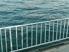 -水上乐园·欢乐世界