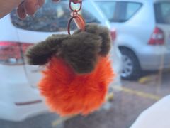 -添福来墨鱼饺子 · 海鲜东北菜(大连星海·黄浦路店)