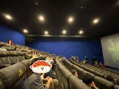 -SFC上影影城(港汇永华IMAX激光店)