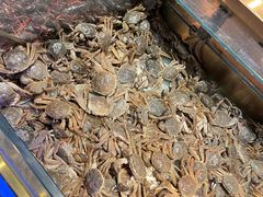 -鼎香缘海鲜自助火锅烤肉(锦辉购物广场店)