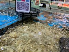 -渔乐圈海鲜餐厅(群力金江路店)