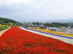 -富田农场