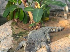 -石家庄市动物园