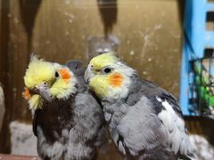-观盐·盐帮菜(官园桥店)