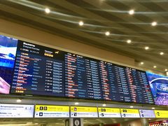 -谢列梅捷沃国际机场