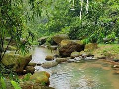 -火炉山森林公园