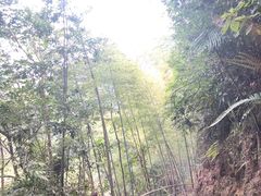 -千泷沟大瀑布旅游区