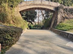 -菊花台公园