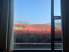 -南京汤山紫清湖生态旅游温泉度假区