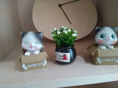 -瞄一喵猫咖(格力海岸店)