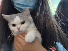 -极木²邸 人与宠物·互动社区