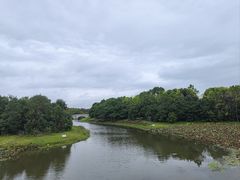 -上海海湾国家森林公园