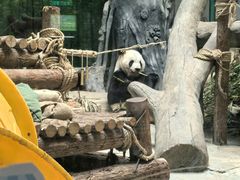 -灵玲国际马戏城