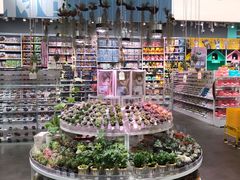 -KKV(深圳kk one 店)
