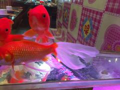 -粗粮人家·东北菜(洋桥店)