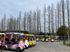 -黄海国家森林公园