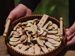 -蘑界·野生菌火锅(深业上城店)