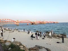 -玫瑰海岸文化旅游度假区