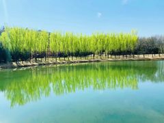 -北京奥林匹克公园