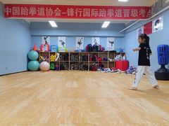 -嗨动跆拳道体能馆(菜百店)