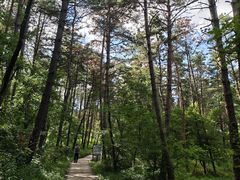 -帽儿山国家森林公园