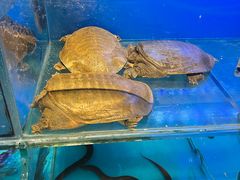 -半山•草庐玖厨(机场路店)