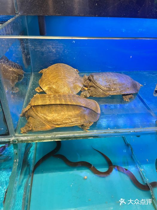 半山•草庐玖厨(机场路店)图片