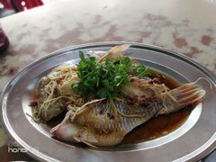 清蒸金凤鱼-新九如海鲜饭店(Sin Kiew Yee)