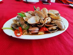 -蛇口康乐快餐鱼仔档(翠苑小区店)