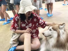 -TrueLove @ Neverland (Husky Cafe)