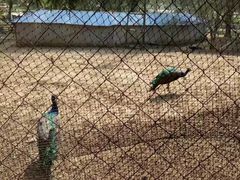 -祥源·阜阳生态乐园