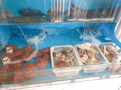 水产区-福匠日本料理(人民路店)