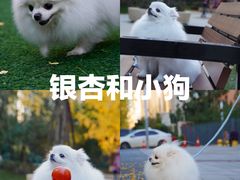 -天府广场
