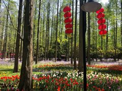 -东平国家森林公园