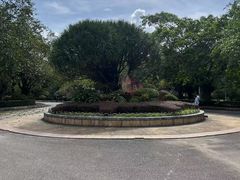-滴水岩森林公园