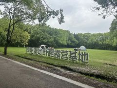 -同里国家湿地公园