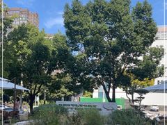 -翠贝卡&Mama Kelly Brunch Coffee(河西店)