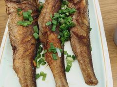 煎黄花鱼-英兰朝族饭店·英兰锅包肉(佳园路店)