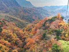 -光雾山旅游景区
