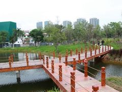 -福田红树林生态公园